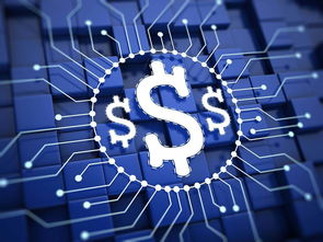 楊望 以數字貨幣破題普惠金融，數字技術服務實體經濟新路徑